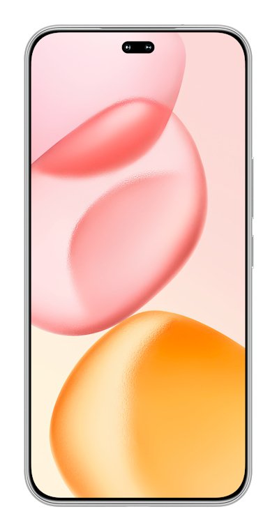 Honor 400 Pro 17 cm (6.7") MagicOS 9.0 5G 12 GB 512 GB 5300 mAh Grey